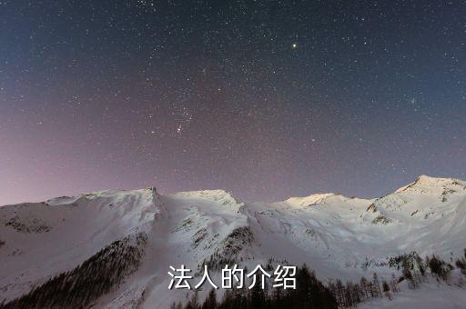 法人渠道是什么意思，法人的介紹