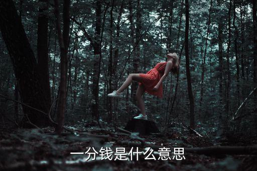 支付寶錢包一分錢是什么意思，一分錢是什么意思