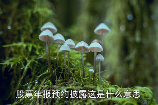 股票披露是什么意思，股票年報(bào)預(yù)約披露這是什么意思