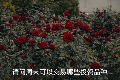 請(qǐng)問(wèn)周末可以交易哪些投資品種