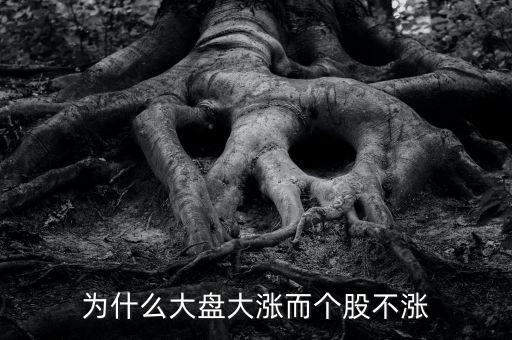 板塊都漲我的個股不長什么原因，為什么大盤大漲而個股不漲