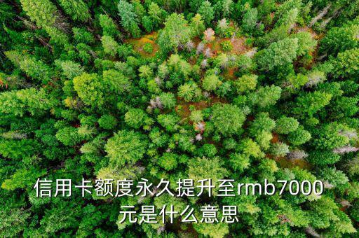 信用卡永久額度是什么意思，信用卡額度永久提升至rmb7000元是什么意思