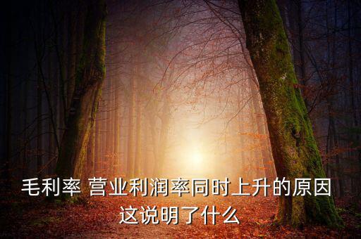 毛利率增長說明什么，增值稅毛利率的高低說明什么