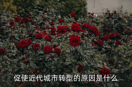 為什么城鎮(zhèn)化要轉型，促使近代城市轉型的原因是什么