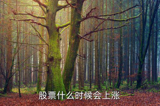 股票在什么情況下才會漲，股票什么時候會上漲