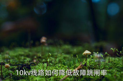 為什么巡視一汽集團(tuán)，考駕照筆試可以照抄嗎