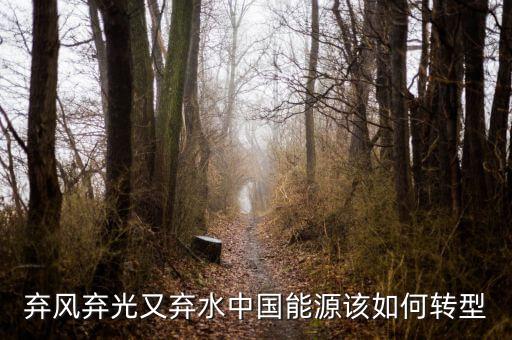 什么是能源轉(zhuǎn)型，棄風(fēng)棄光又棄水中國(guó)能源該如何轉(zhuǎn)型