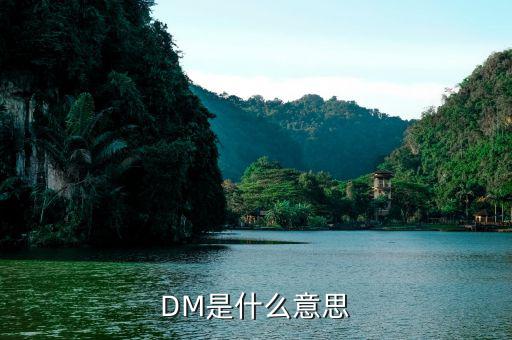 什么是dm理財，DM在國際金融里面是什么意思