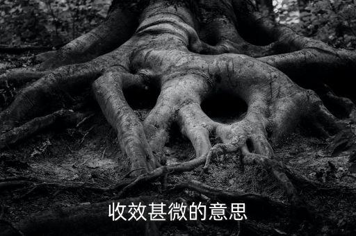 收效甚微的微是什么意思，收效甚微的意思