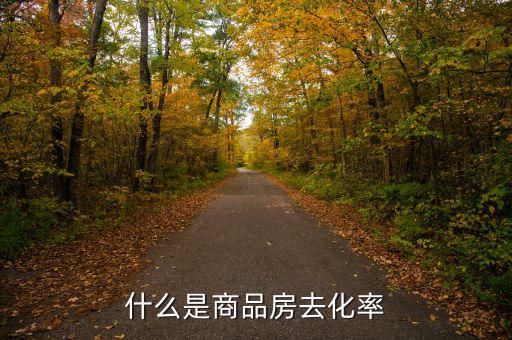 什么是新開樓盤去化率，房產去化率是什么