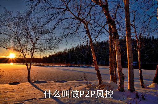 什么是風(fēng)控機(jī)制，白條風(fēng)控是什么意思