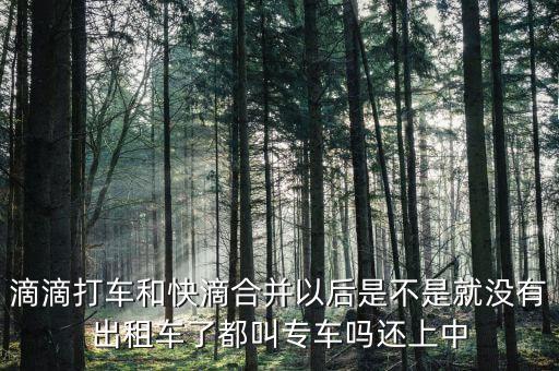 滴滴快滴合并叫什么，滴滴快的合并后叫什么