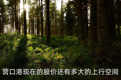 營口港為什么漲停，營口港股票怎么了