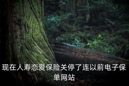 現(xiàn)在人壽戀愛保險關停了連以前電子保單網(wǎng)站