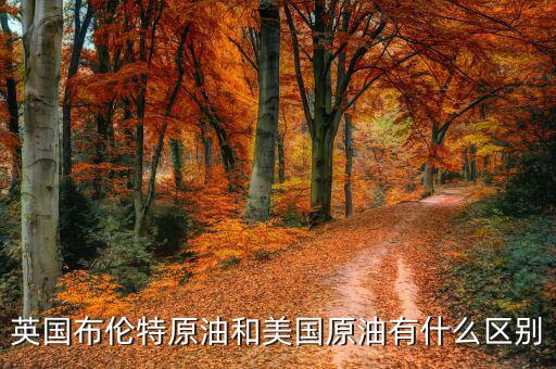 布油與美國(guó)原油有什么不同，英國(guó)布倫特原油和美國(guó)原油有什么區(qū)別