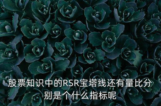 股票知識(shí)中的RSR寶塔線還有量比分別是個(gè)什么指標(biāo)呢