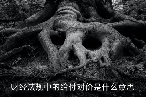 支付對價(jià)是什么意思，財(cái)經(jīng)法規(guī)中的給付對價(jià)是什么意思