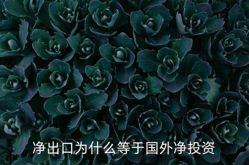 國外凈投資是什么，凈出口為什么等于國外凈投資