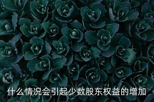 什么情況會引起少數(shù)股東權益的增加