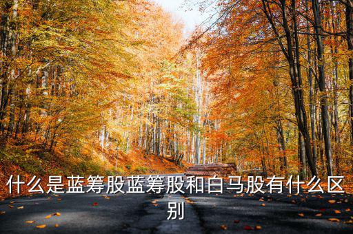 什么是藍籌股藍籌股和白馬股有什么區(qū)別
