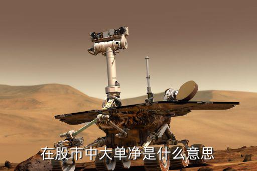 大單凈值什么意思，大單凈比是什么意思