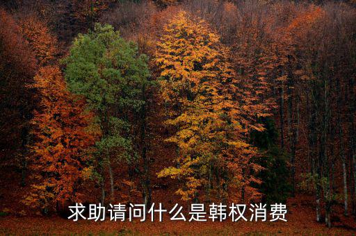 求助請問什么是韓權消費