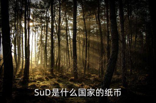 sud是什么貨幣，SUD是什么貨幣單位