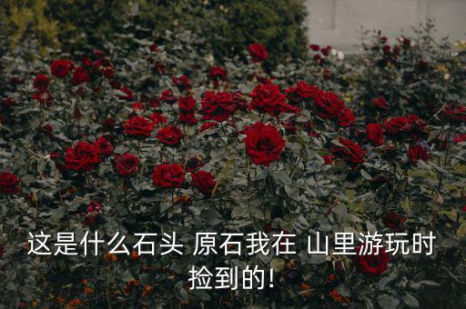這是什么石頭 原石我在 山里游玩時撿到的!