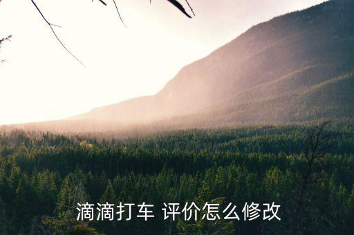  滴滴打車 評(píng)價(jià)怎么修改