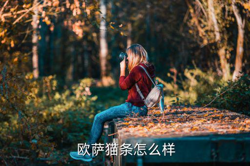 上海歐薩怎么樣,意大利進(jìn)口貓糧營(yíng)養(yǎng)均衡貓咪超愛吃