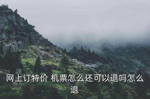 網(wǎng)上訂特價 機(jī)票怎么還可以退嗎怎么退