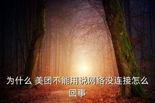 為什么 美團不能用說網(wǎng)絡(luò)沒連接怎么回事