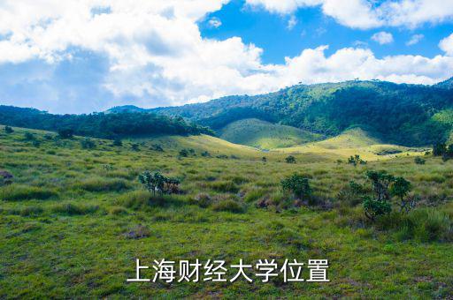  上海財經大學位置