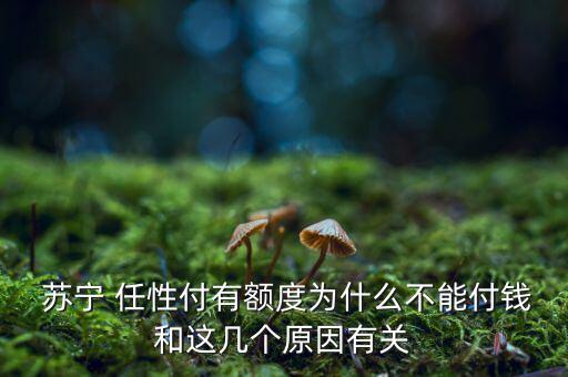  蘇寧 任性付有額度為什么不能付錢和這幾個原因有關