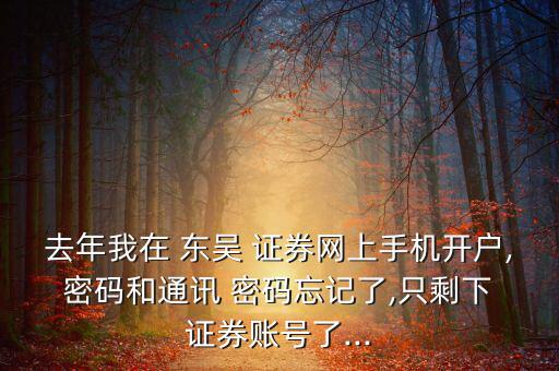 東吳證券密碼忘了怎么辦,如何使用數碼設備進行理財規(guī)劃?