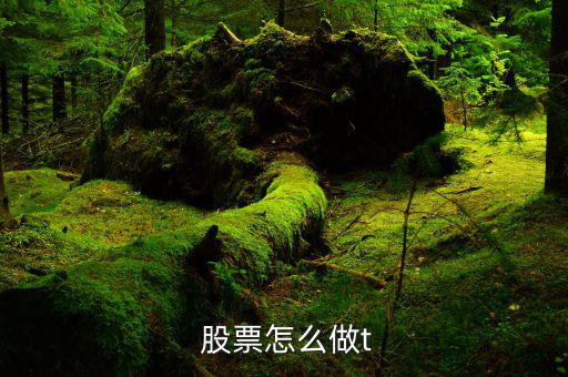 股票怎么做t比較好,開(kāi)盤(pán)后現(xiàn)金買(mǎi)入或現(xiàn)金賣(mài)出股票當(dāng)天可獲利