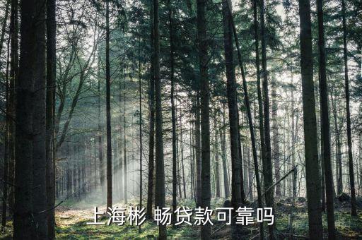 暢貸怎么樣,新一貸信用貸款無(wú)抵押、無(wú)擔(dān)保、審批快