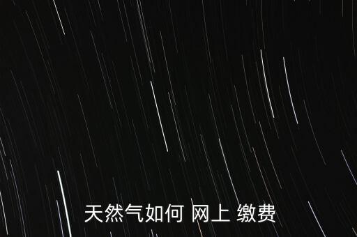  天然氣如何 網上 繳費
