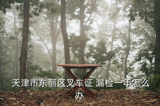 天津駕駛證漏檢怎么辦,駕駛證有效期屆滿申請人應及時辦理補卡