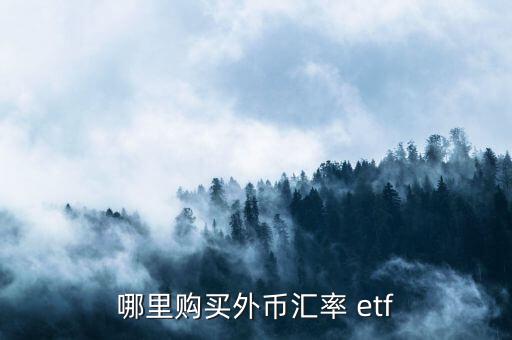 哪里購(gòu)買外幣匯率 etf