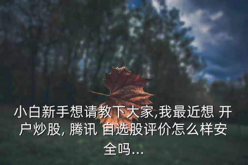 小白新手想請(qǐng)教下大家,我最近想 開(kāi)戶炒股, 騰訊 自選股評(píng)價(jià)怎么樣安全嗎...