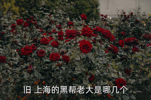 上?；バ沤鹑谠趺礃?上海五國會議機(jī)制前身是五國集團(tuán)主席