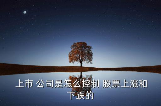 上市公司怎么使用股票,配股的新股認(rèn)購權(quán)按原股東之間進行分配