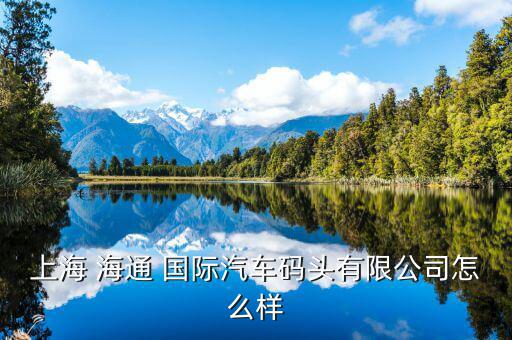 上海 海通 國(guó)際汽車碼頭有限公司怎么樣