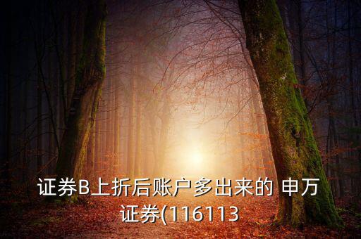  證券B上折后賬戶多出來的 申萬(wàn) 證券(116113