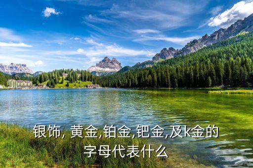 銀飾, 黃金,鉑金,鈀金,及k金的字母代表什么