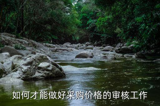 怎么采價,采購價格的審計不僅僅是對價格數據進行審計