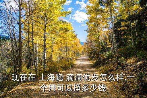 上海滴滴專(zhuān)車(chē)怎么開(kāi)最掙錢(qián),在線(xiàn)租車(chē)服務(wù)從何而來(lái)?