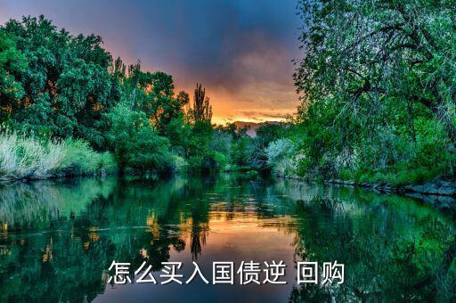 怎么買(mǎi)入國(guó)債逆 回購(gòu)