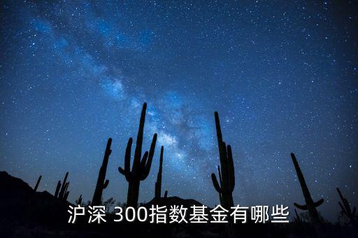 工銀滬深300怎么樣,周一開(kāi)盤必買的股票
